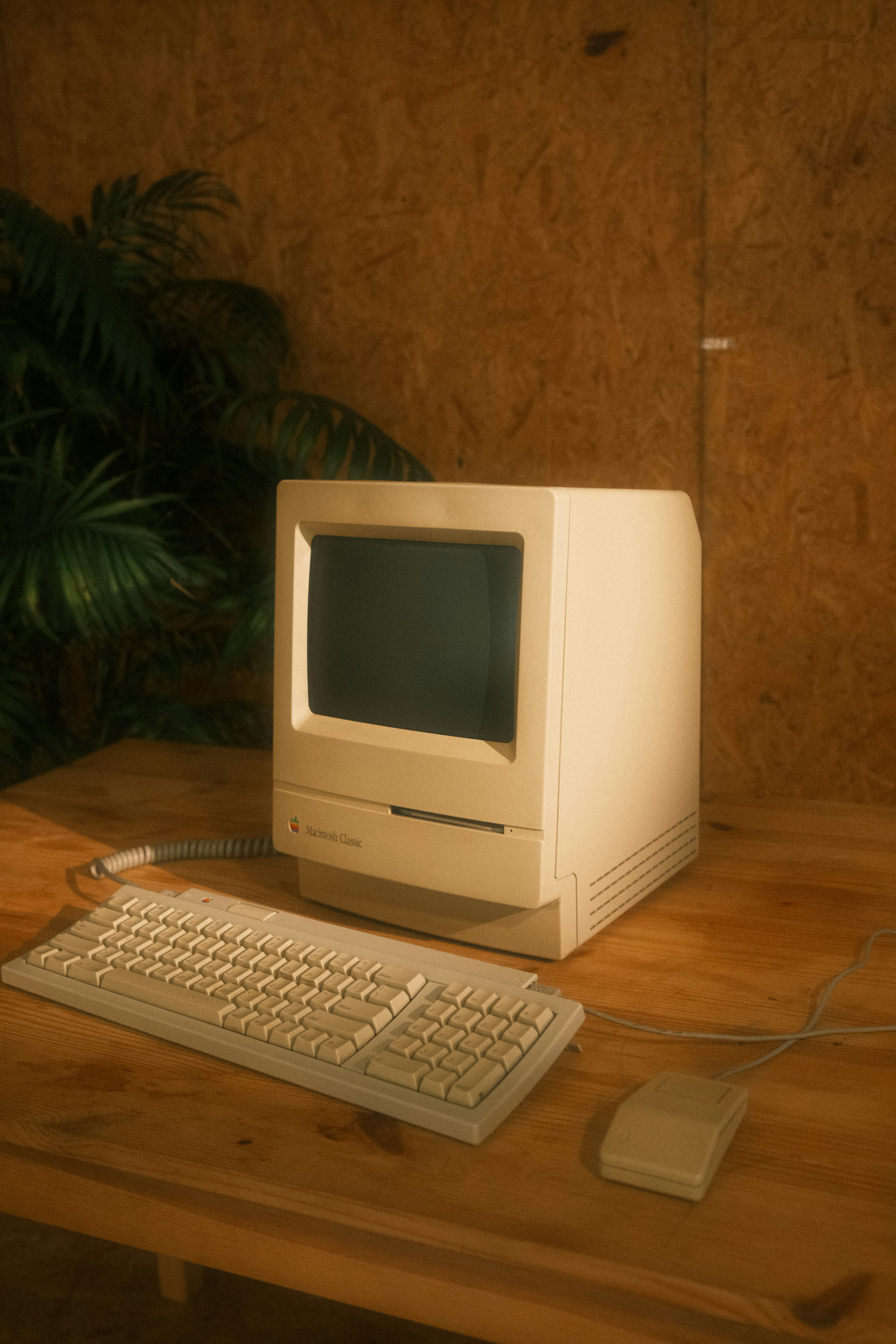 Legacy System Replacement